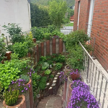 Faridd * 크레펠트